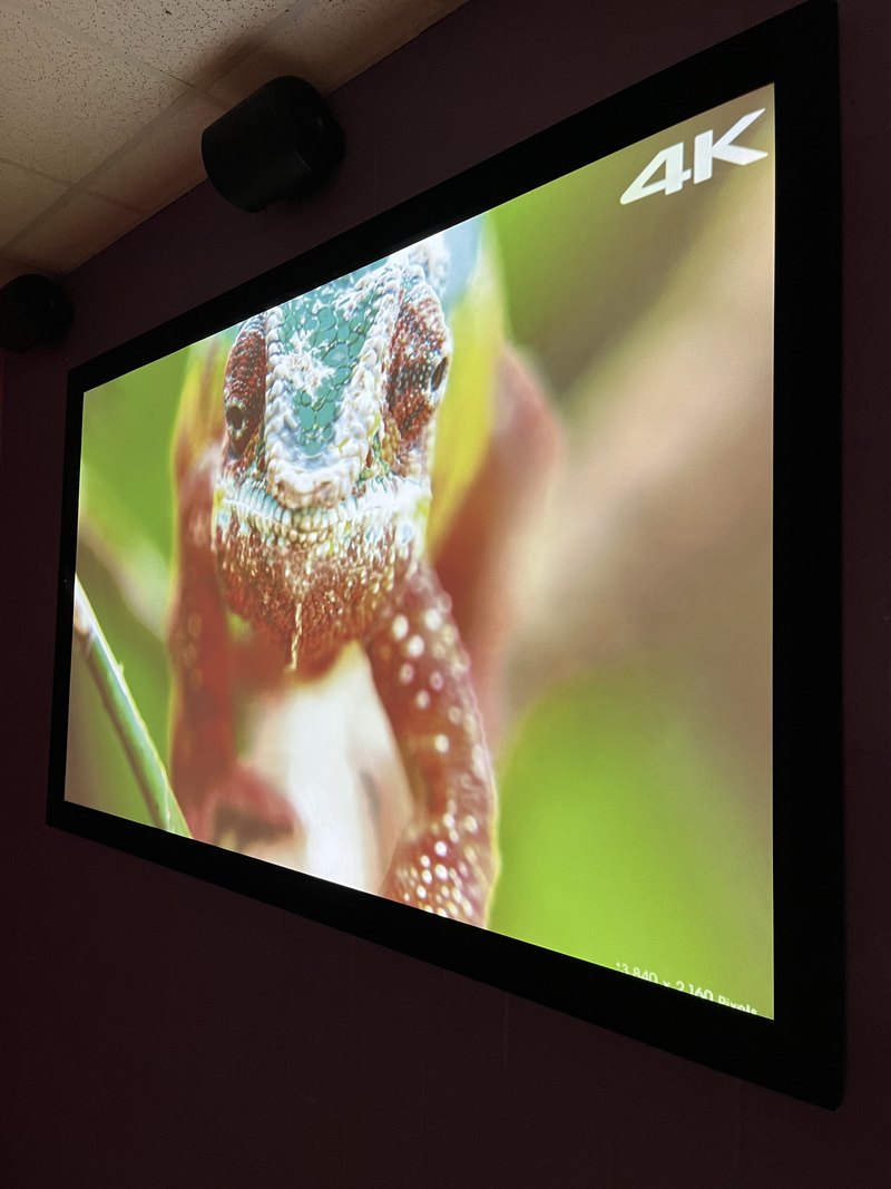 Dramatic low-light shot of the wall-mounted big-screen display playing 4K chameleon demo footage, with a mounted surround speaker visible at left.
